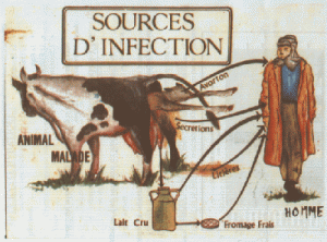 Sources of infection of Brucellosis