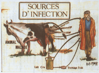 Sources d'infection de la Brucellose