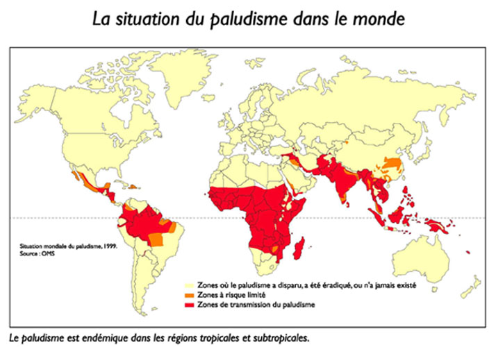 La situation du paludisme dans le monde