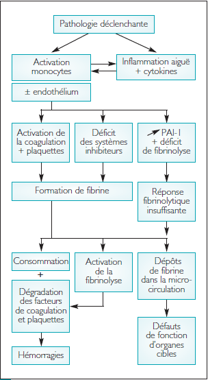 Pathophysiological scheme of disseminated intravascular coagulation.