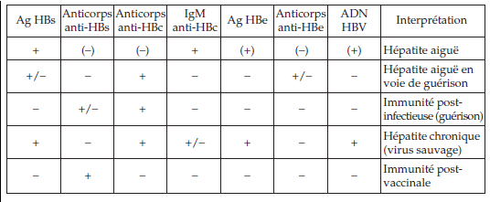 Principaux profils observés dans différentes situations cliniques au cours de l’infection par HBV