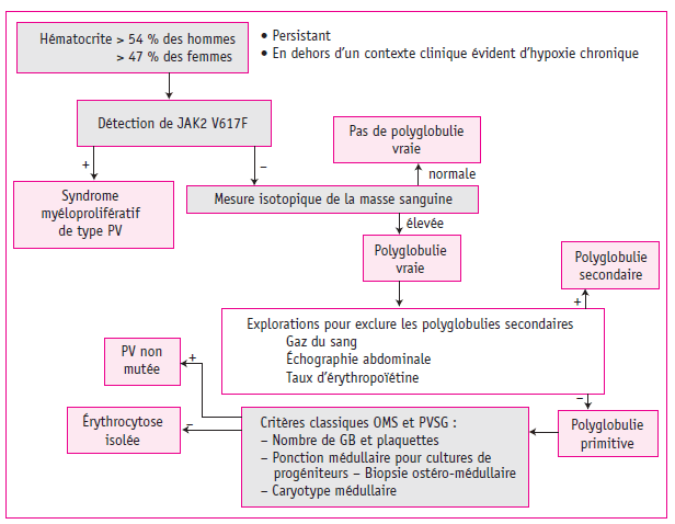 Figure 1. Algorithme diagnostique devant une suspicion de polyglobulie.