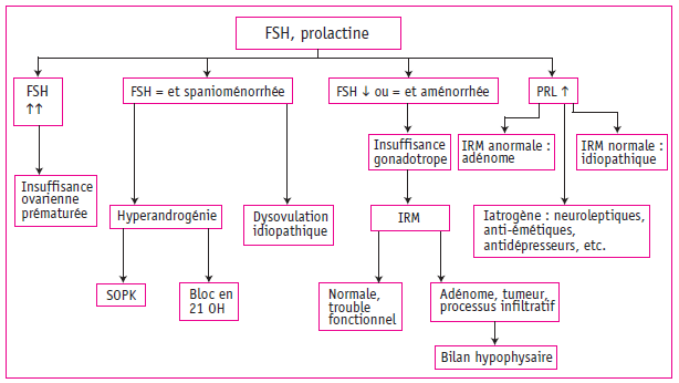 Figure 3. Examens complémentaires devant une aménorrhée ou spanioménorrhée. SOPK : syndrome des ovaires polykystiques.