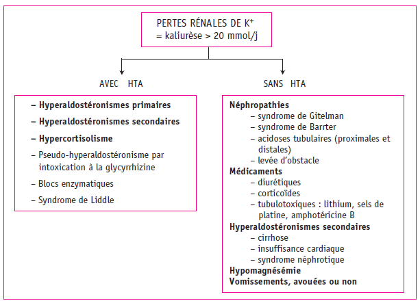 Figure 2. Principales causes d’hypokaliémie par fuite rénale du potassium.