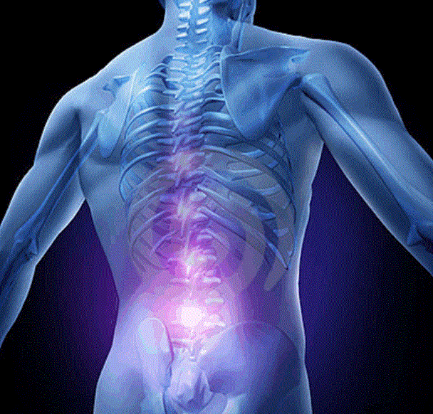 Spinal Pain (lumbar, dorsal, cervical)