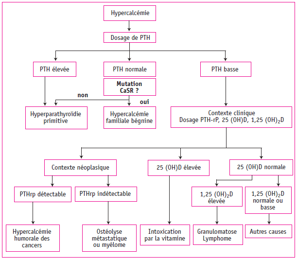 Figure 1. Arbre diagnostic d’une hypercalcémie.