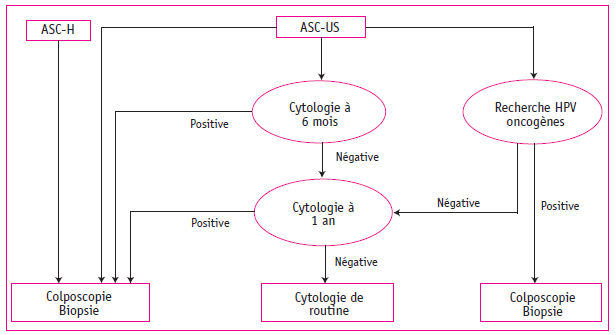 Figure 2. Conduite à tenir devant un frottis anormal (ANAES 2003). (suite)