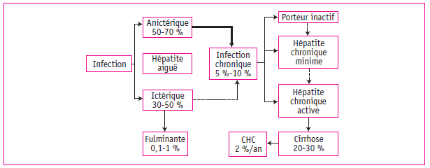 Figure 1. Hépatite B : Histoire naturelle.