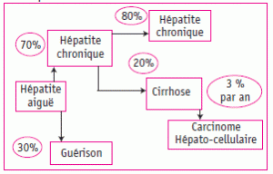 Figure 2. Hépatite C et histoire naturelle : une maladie silencieuse.