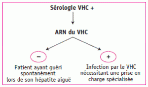 Figure 1. Que faire devant une sérologie VHC + ?