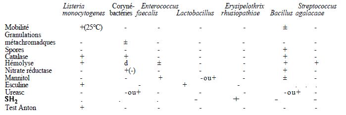 TABLEAU II : principaux caractères différentiels de bactéries à Gram positif (morphologie exclue)