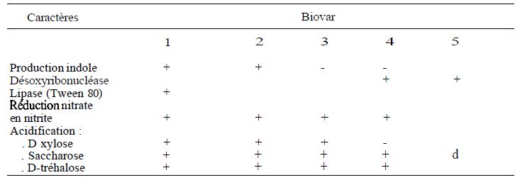 TABLEAU II : différents chimiotypes (BIOVAR) de Yersinia Enterocolitica