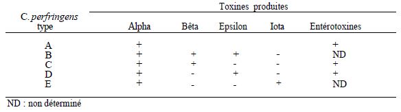 TABLEAU I : classification de C. Perfringens en fonction du type de toxine