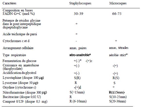 Tableau 1 : caractères permettant la différenciation entre staphylocoques et microcoques