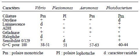 TABLE I: differential characters different Vibrionaceae