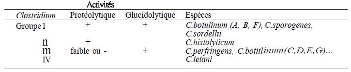 Généralités sur les Clostridium