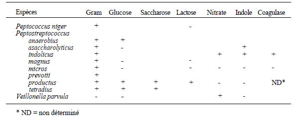 TABLE II: identification of key species of anaerobic cocci