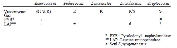 TABLEAU 1 : caractères d'orientation permettant de distinguer les genres enterococcus, pediococcus, leuconostoc, lactobacillus et streptococcus