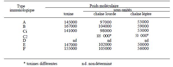 TABLEAU III : poids moléculaires des toxines botuliques (d'après Sebald).