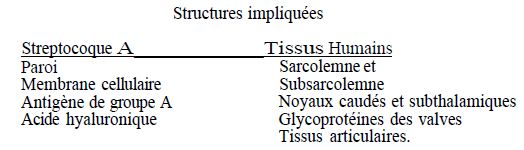 TABLE III: cross-reactions entre streptococci and human tissues