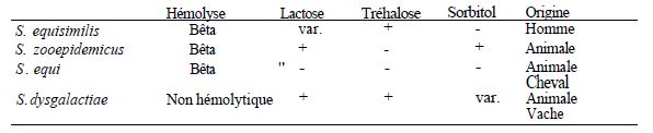 TABLE VIII: characters that identify streptococci in serogroup C different species