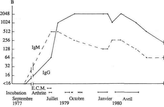E.C.M. Suivi d'arthrite FIGURE 2 : cinétiques des anticorps au cours de l'E.C.M.