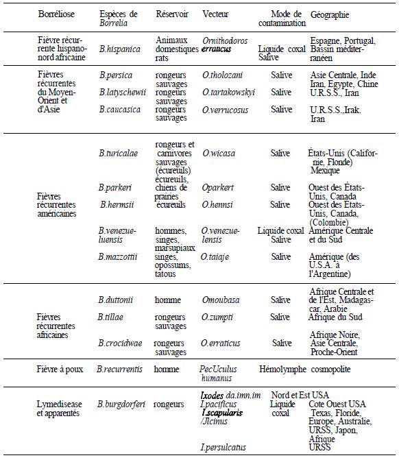 TABLE 1: Vectors and mode of transmission of the different species of Borrelia