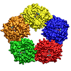 CRP (protéine C-réactive)