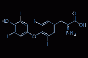 Thyroxine totale (T4)
